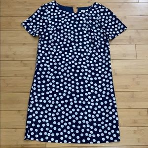 J.Crew Factory Navy Polka Dot Dress